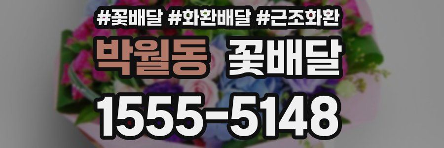 박월동 꽃배달