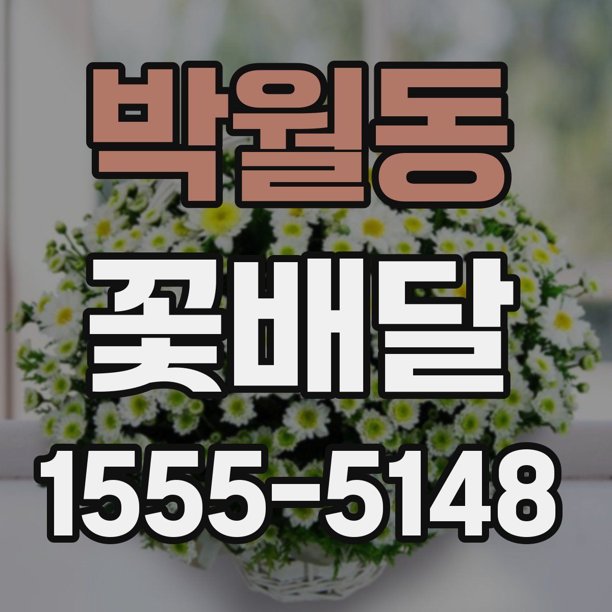 박월동 꽃배달