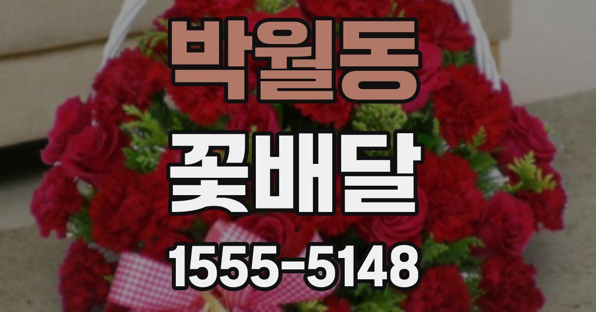 박월동 꽃배달