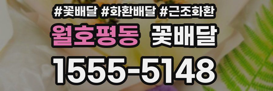 월호평동 꽃배달