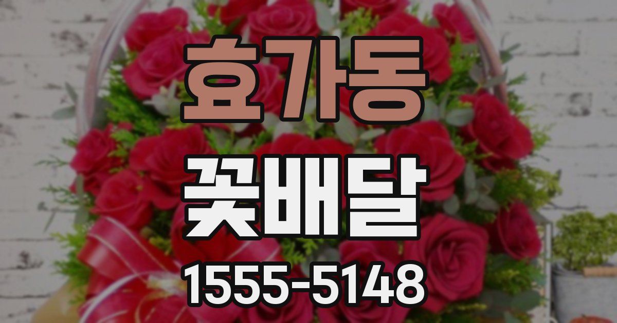 효가동 꽃배달