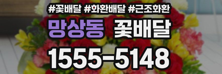 망상동 꽃배달
