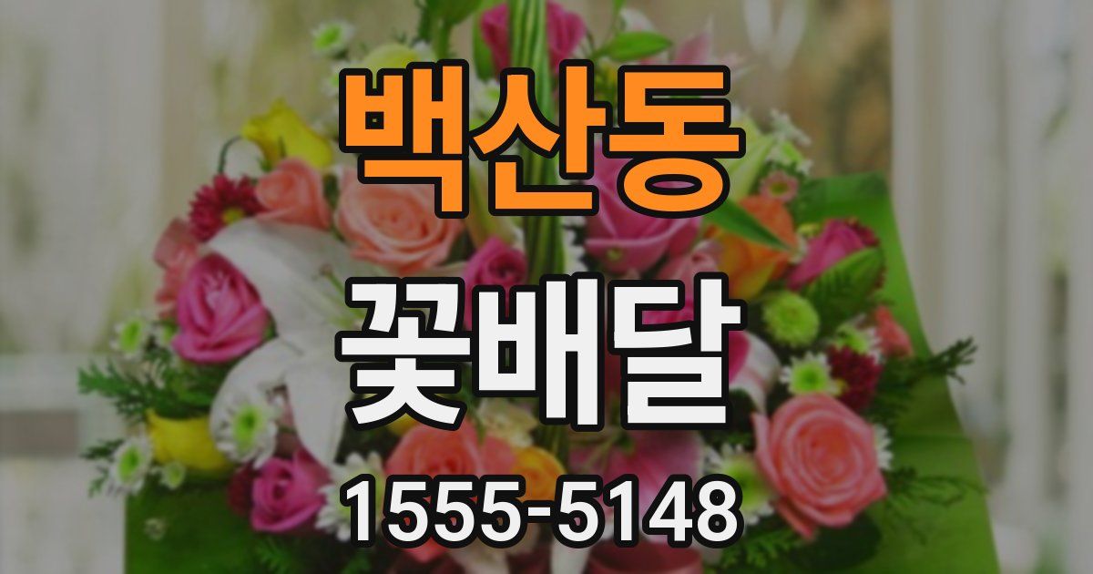 백산동 꽃배달