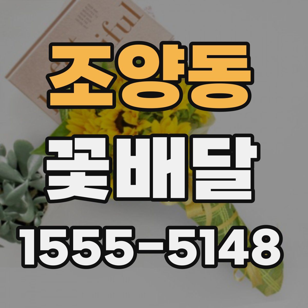 조양동 꽃배달
