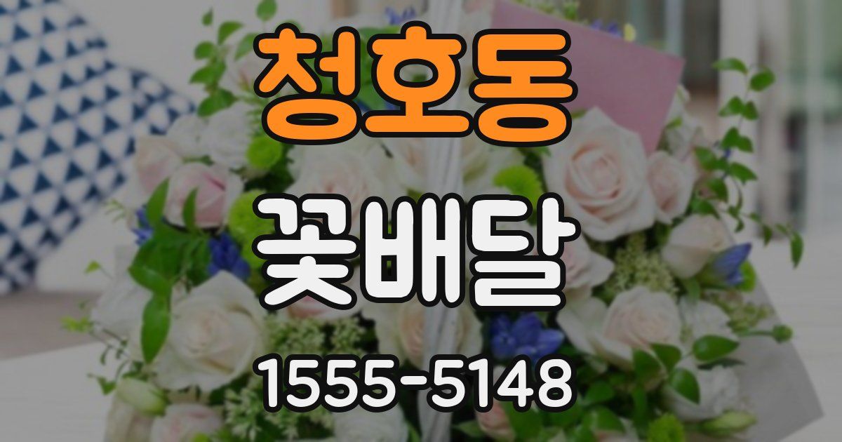 청호동 꽃배달