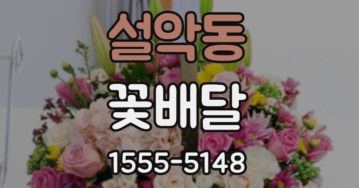 설악동 꽃배달