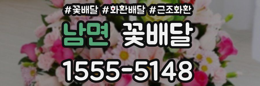 남면 꽃배달