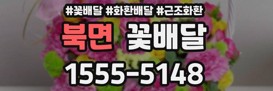 북면 꽃배달