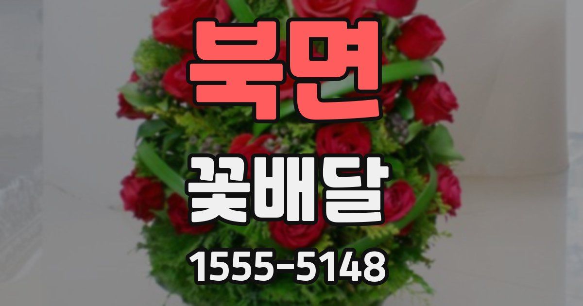 북면 꽃배달
