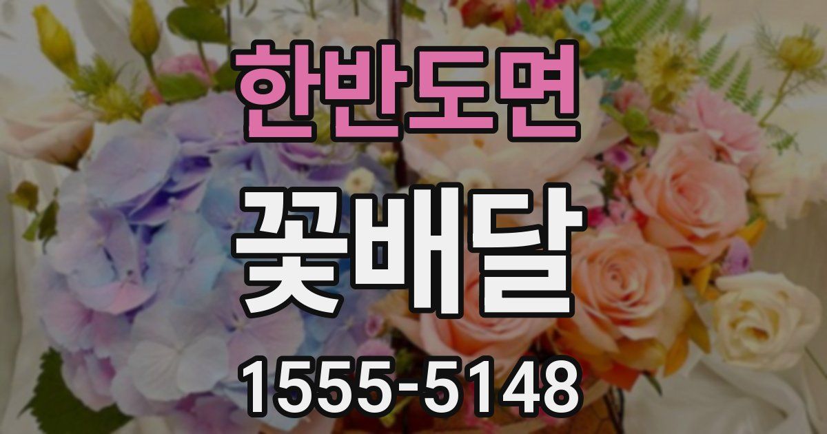 한반도면 꽃배달