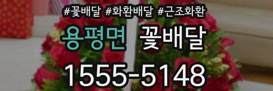 용평면 꽃배달