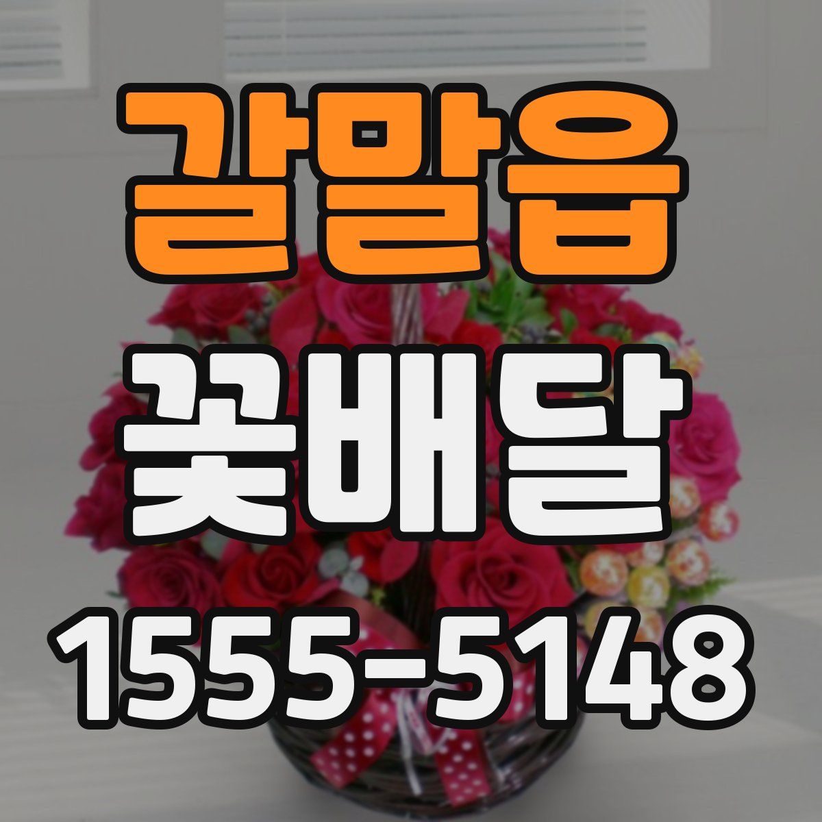 갈말읍 꽃배달