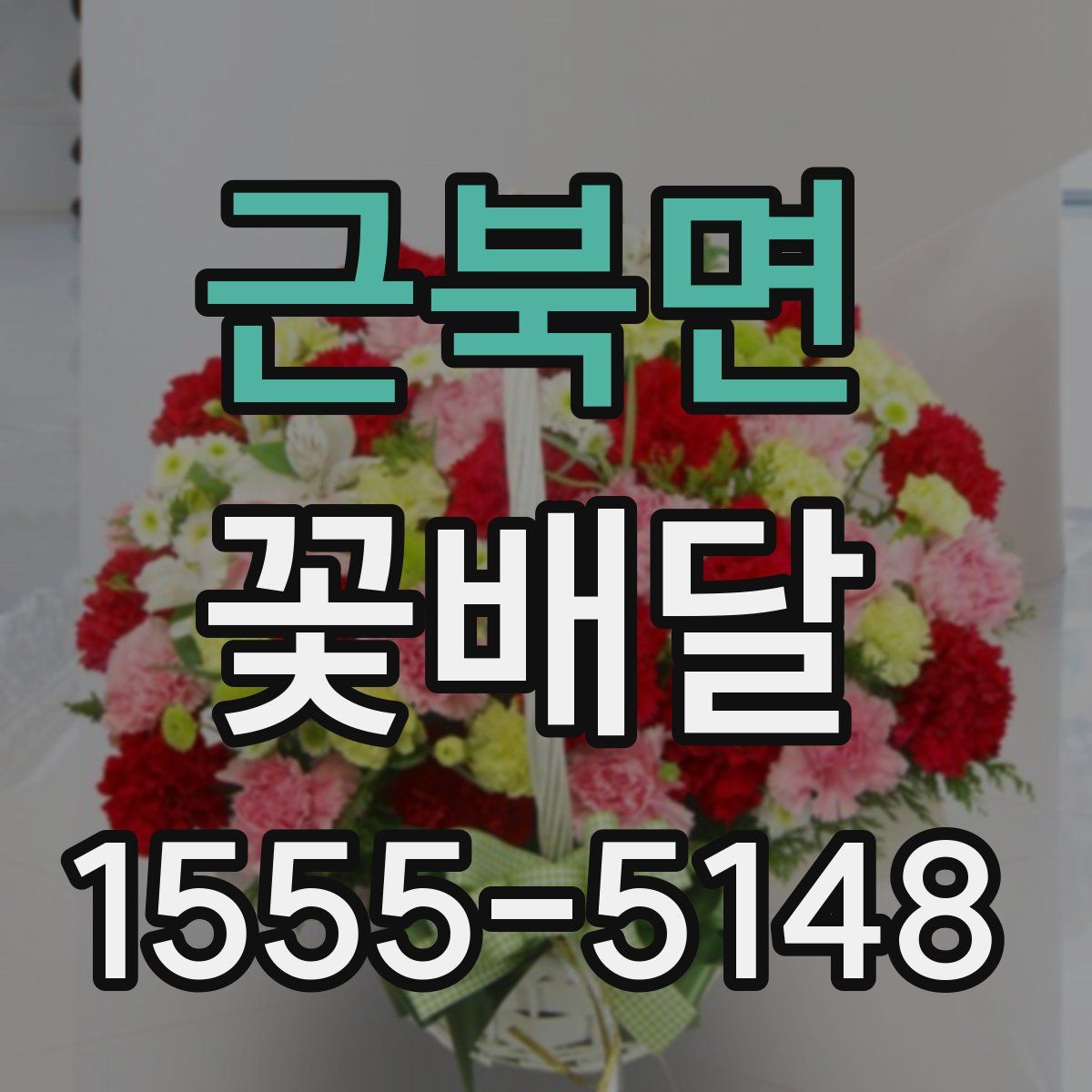 근북면 꽃배달