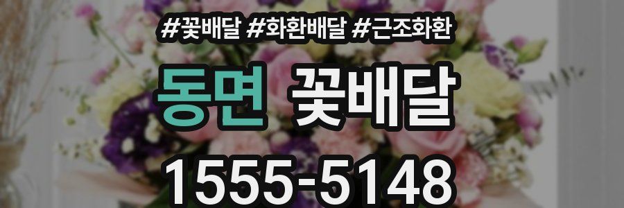 동면 꽃배달
