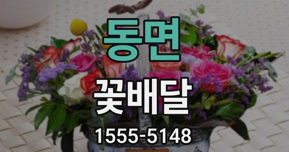 동면 꽃배달