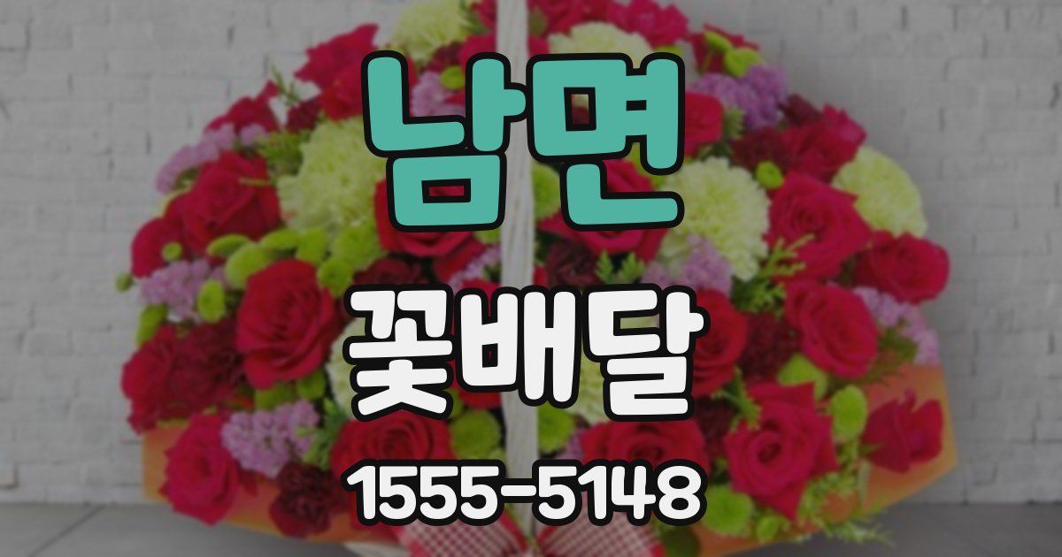 남면 꽃배달