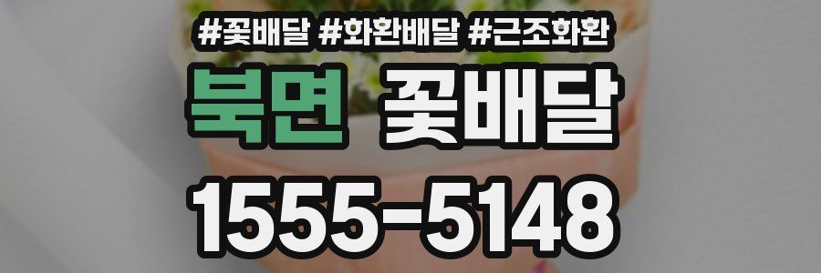 북면 꽃배달