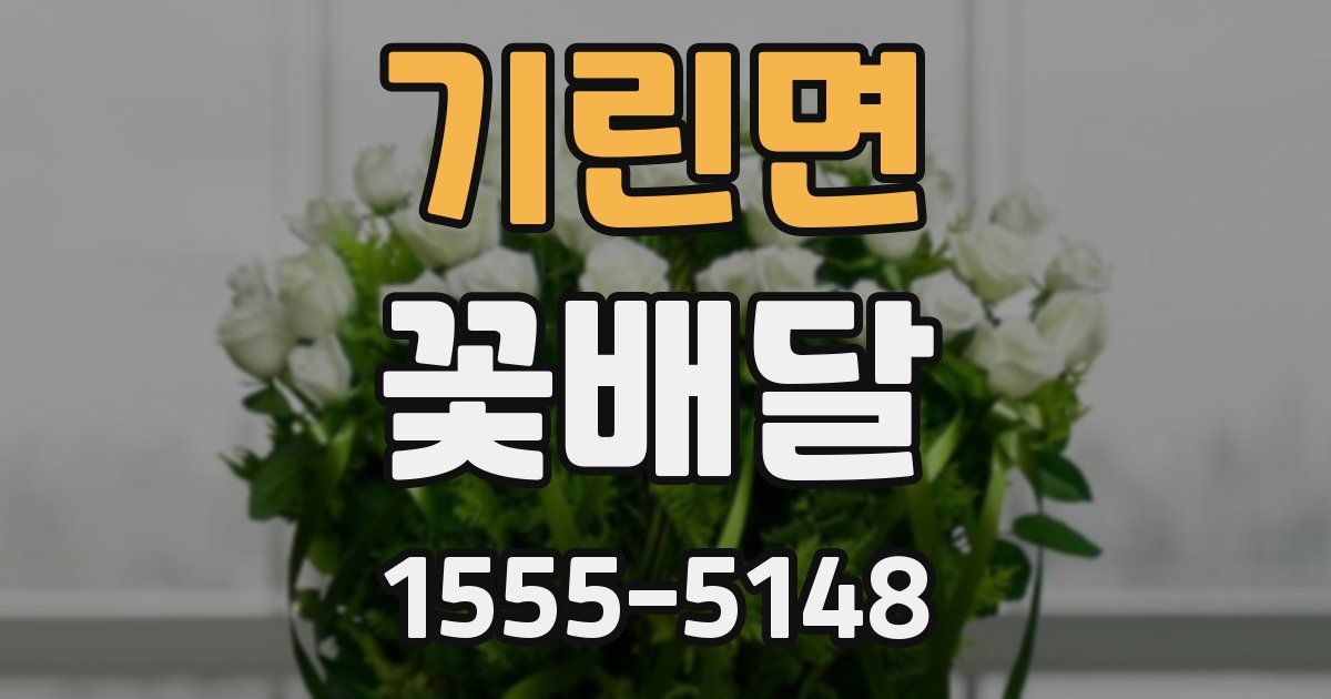 기린면 꽃배달