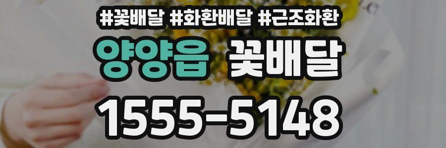 양양읍 꽃배달