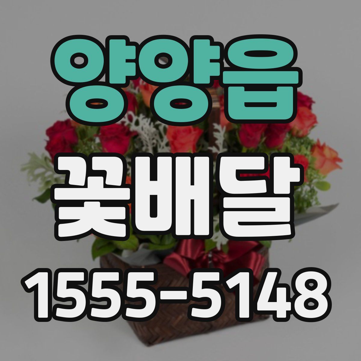 양양읍 꽃배달