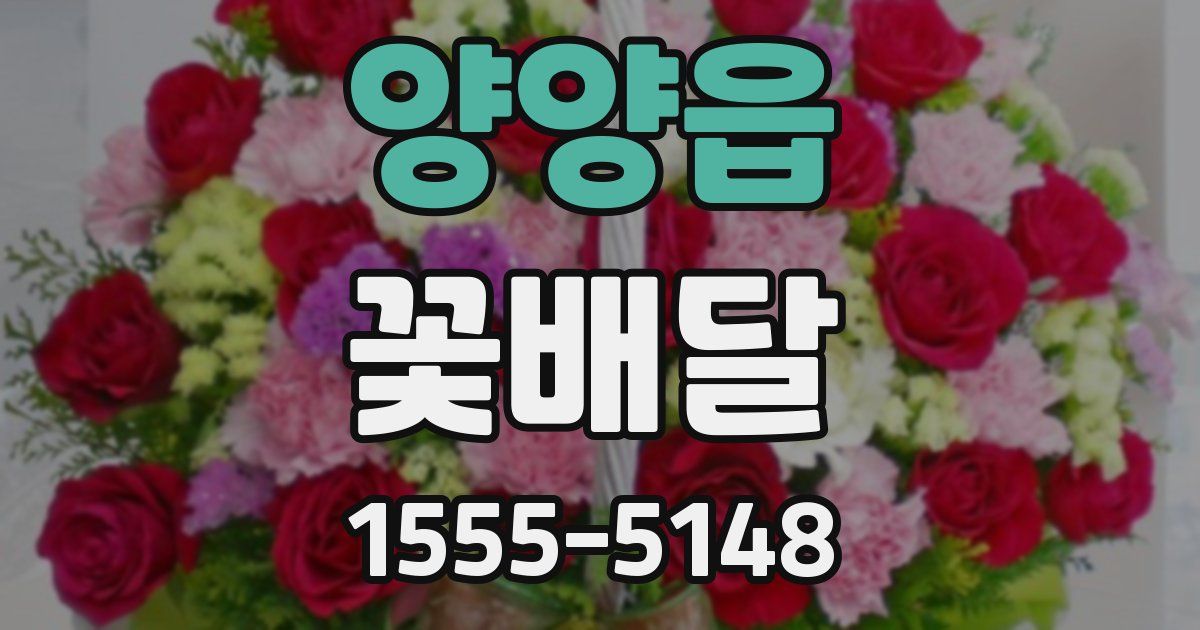 양양읍 꽃배달