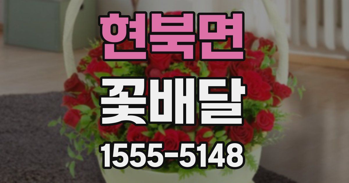 현북면 꽃배달