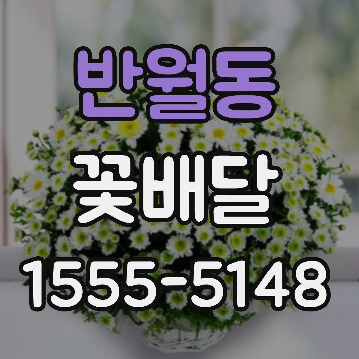 반월동 꽃배달