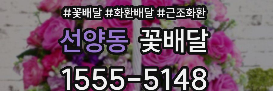 선양동 꽃배달