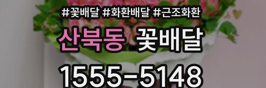 산북동 꽃배달