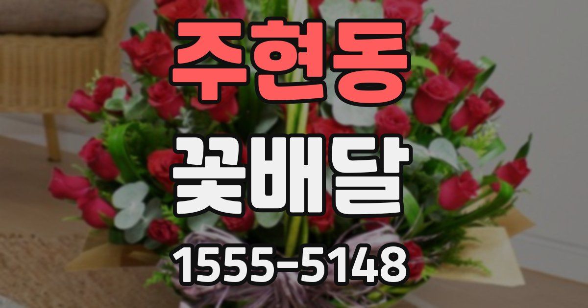 주현동 꽃배달