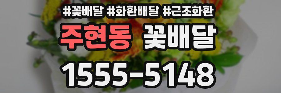 주현동 꽃배달