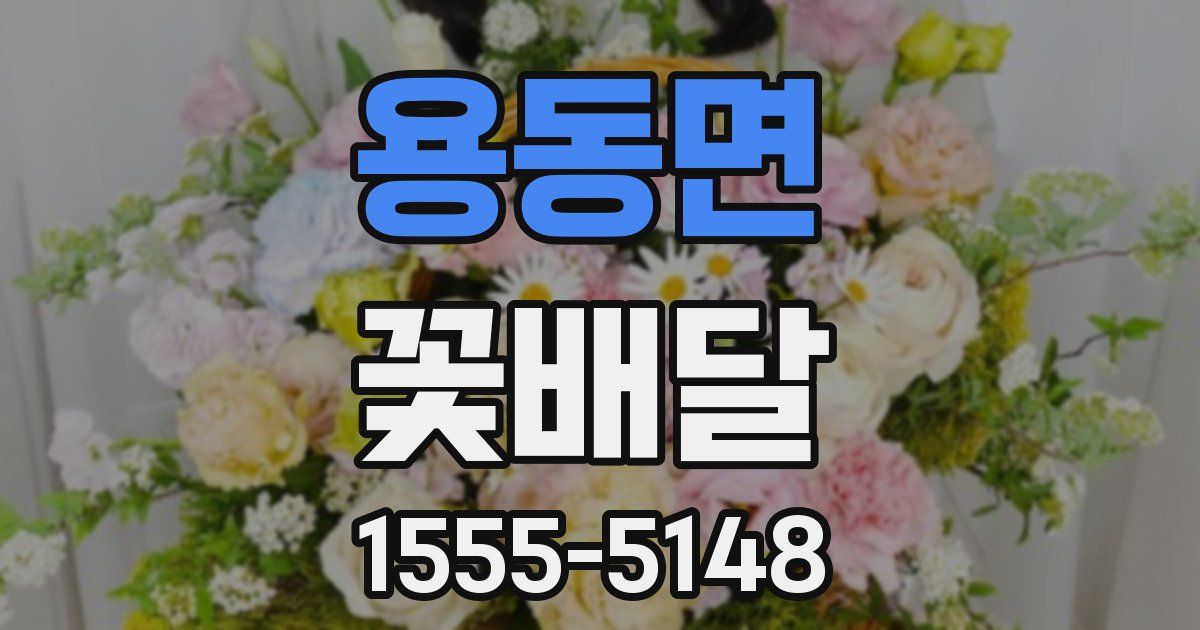 용동면 꽃배달