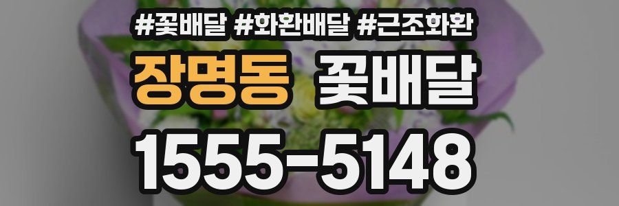 장명동 꽃배달
