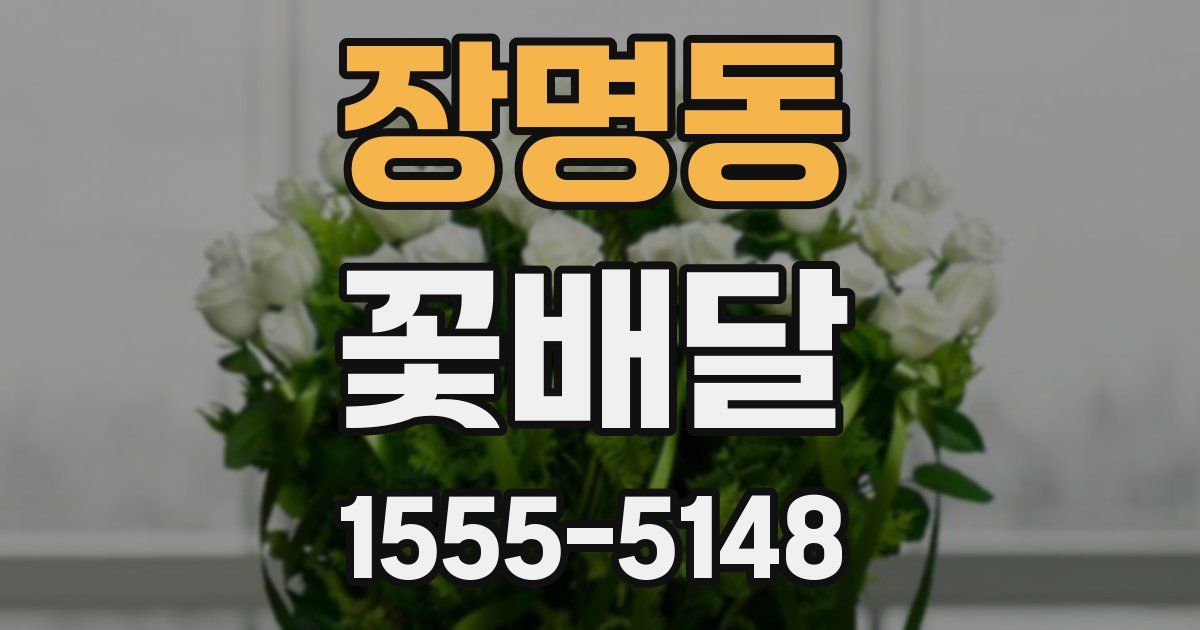 장명동 꽃배달