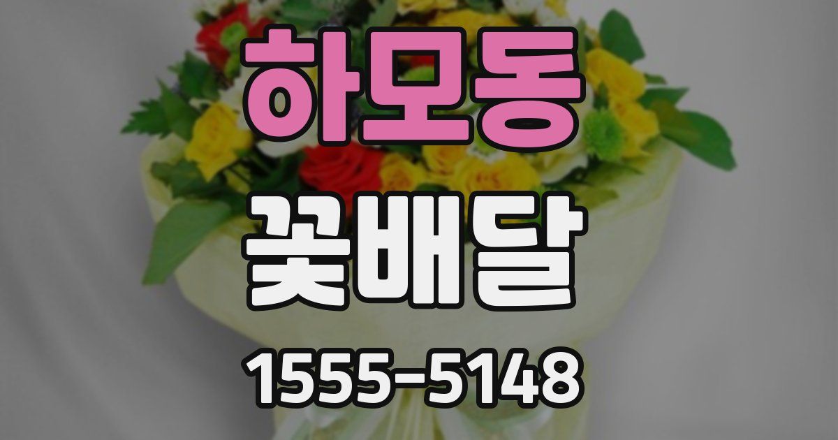 하모동 꽃배달
