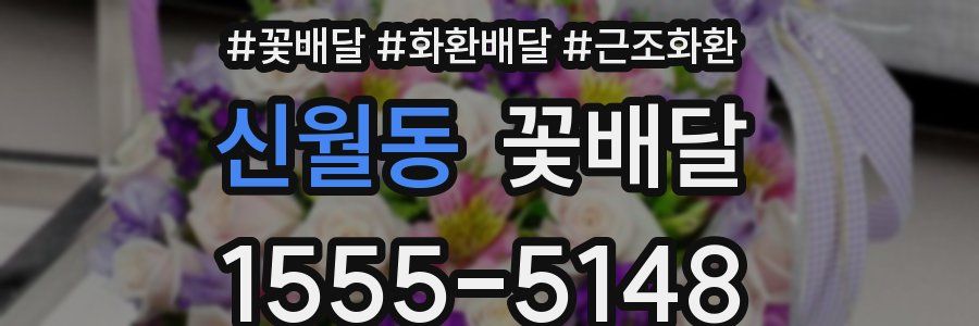 신월동 꽃배달