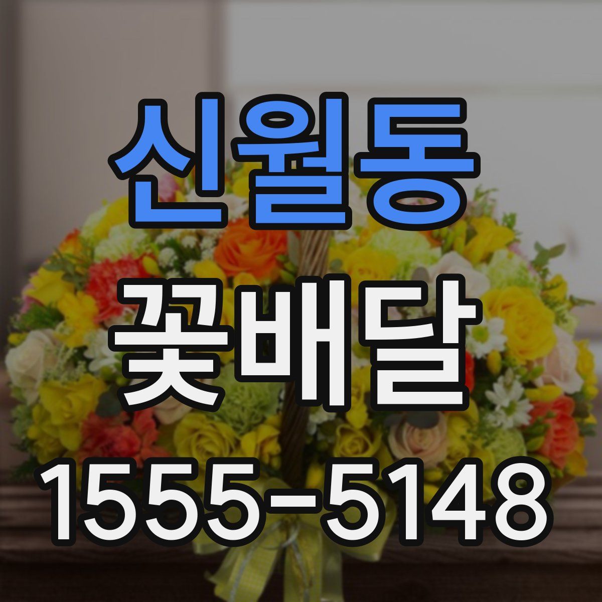 신월동 꽃배달