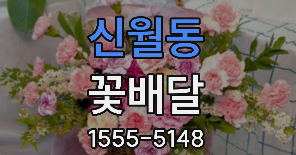 신월동 꽃배달