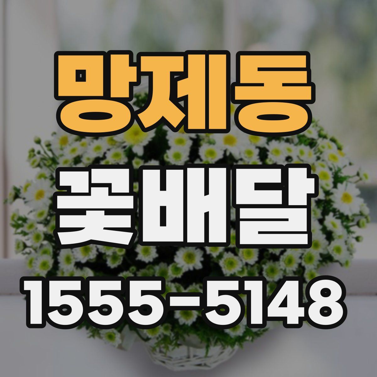 망제동 꽃배달