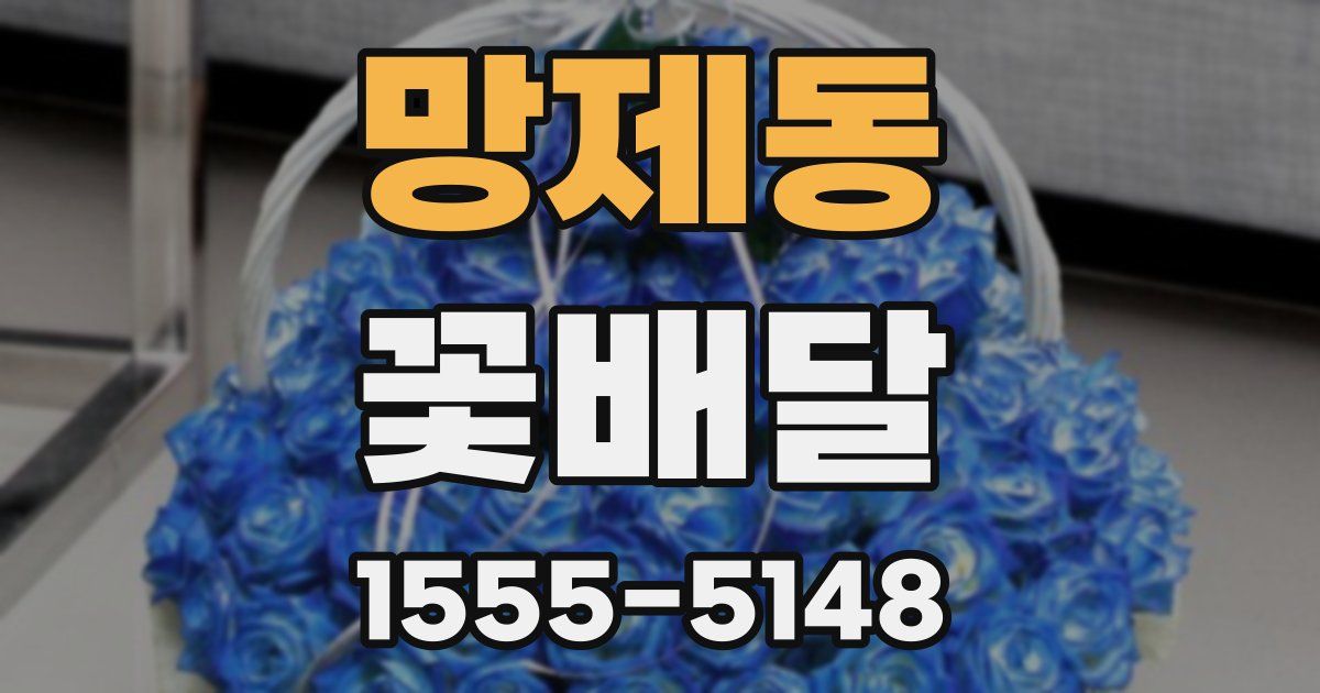 망제동 꽃배달
