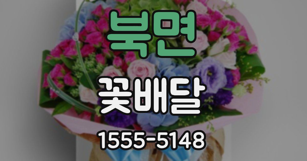 북면 꽃배달