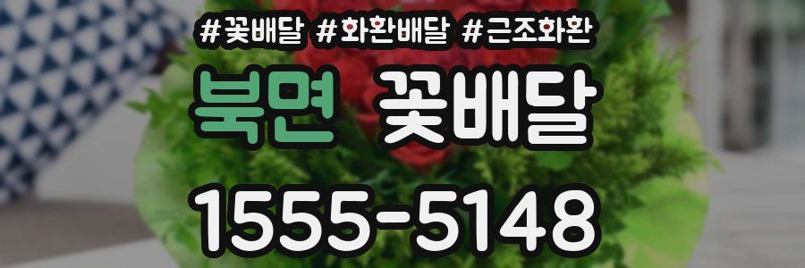 북면 꽃배달