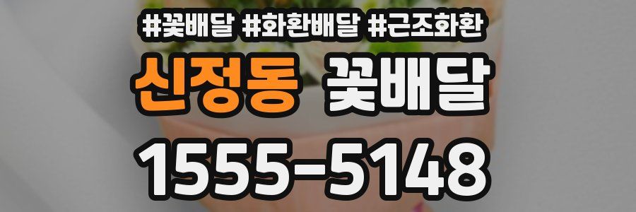 신정동 꽃배달