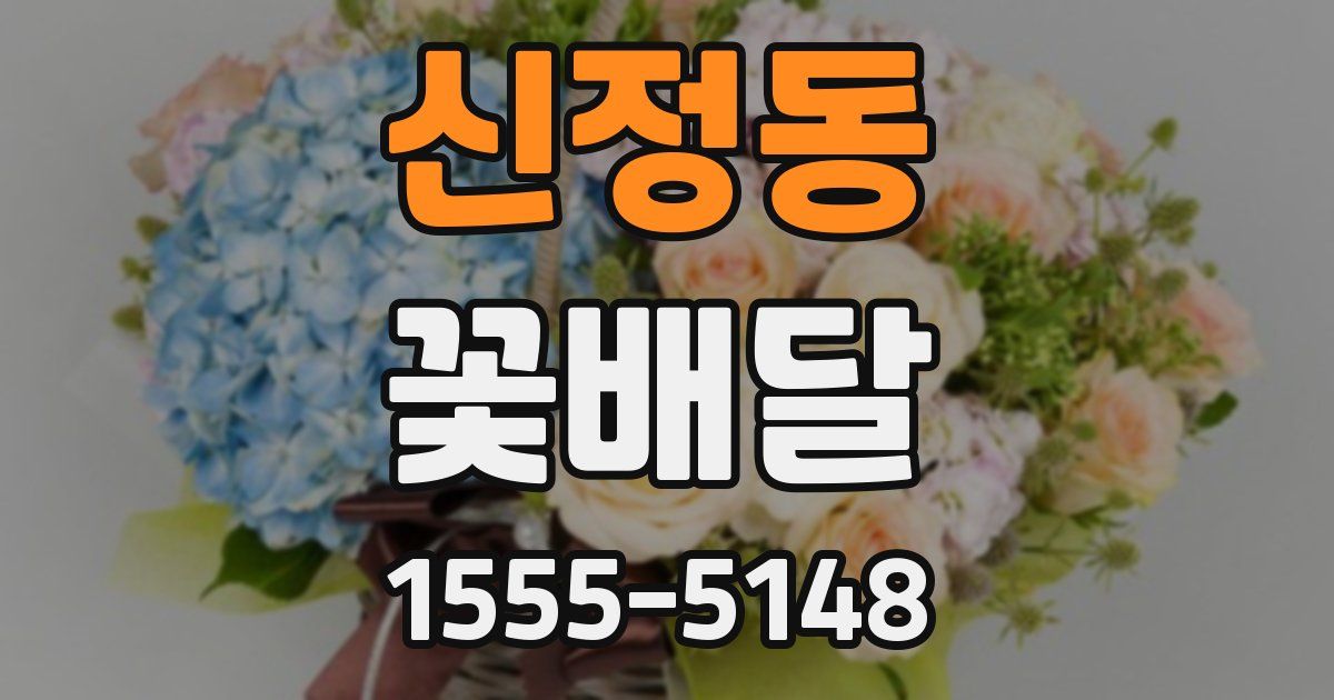 신정동 꽃배달
