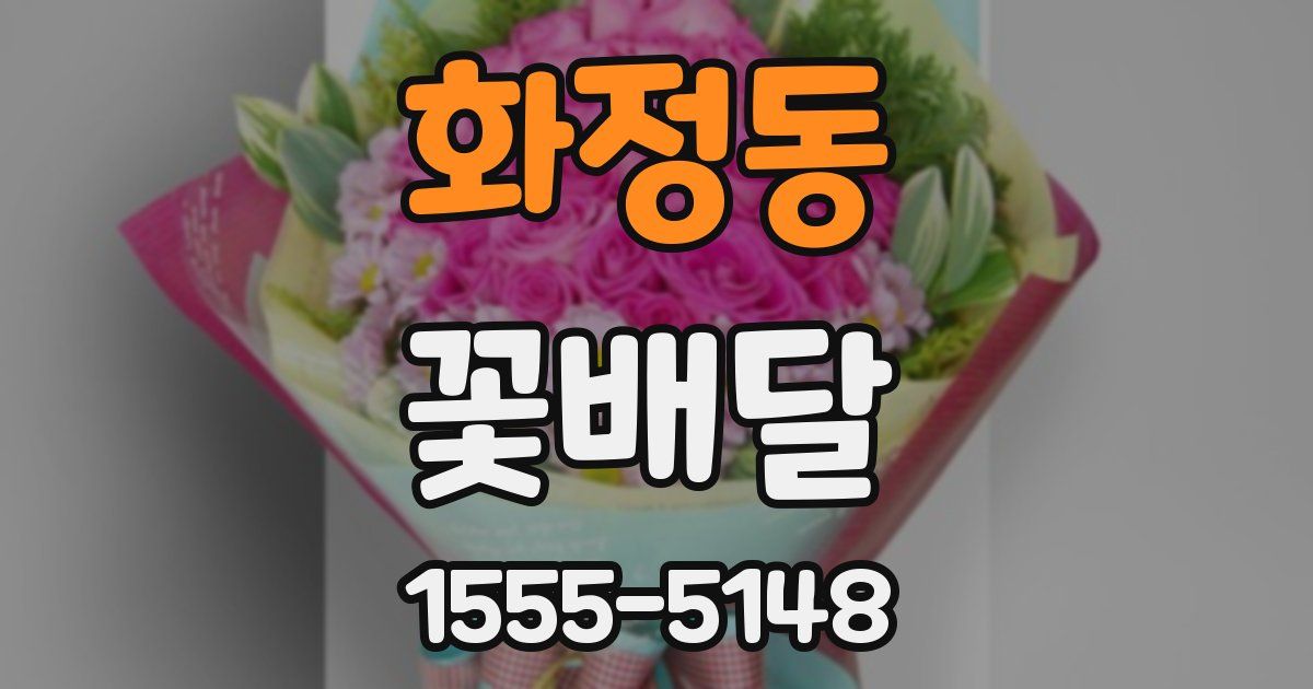 화정동 꽃배달