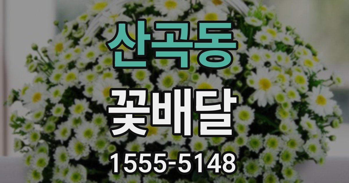 산곡동 꽃배달
