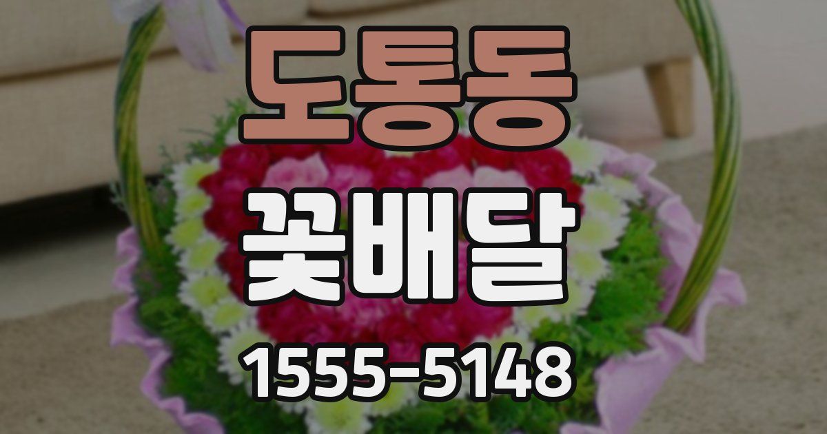 도통동 꽃배달