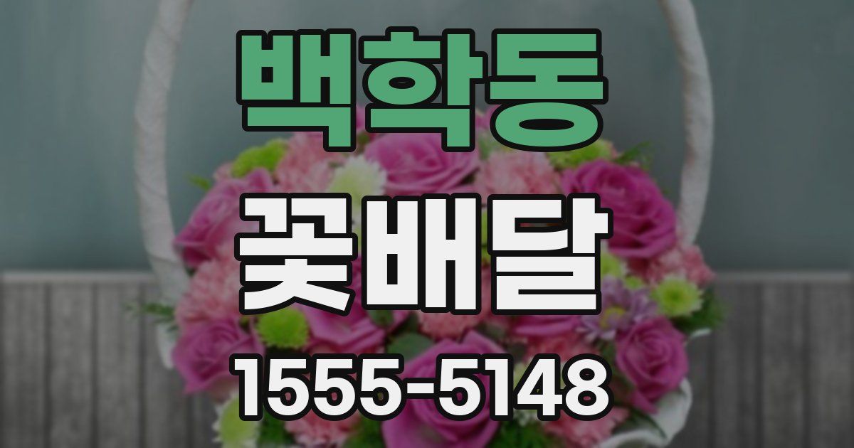 백학동 꽃배달