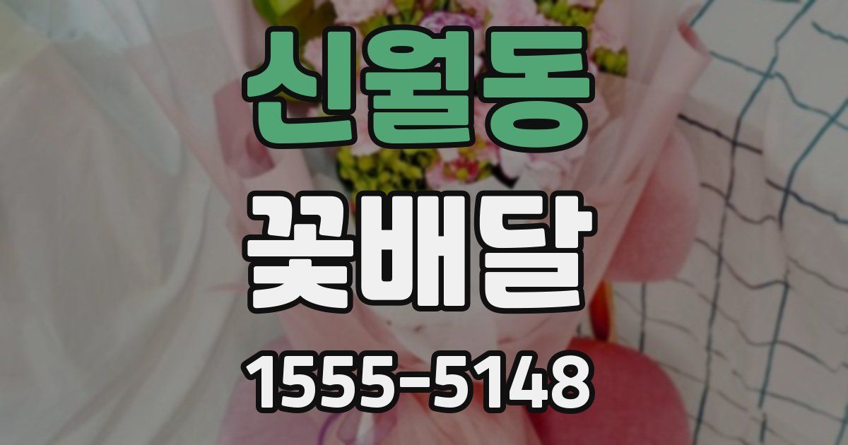 신월동 꽃배달