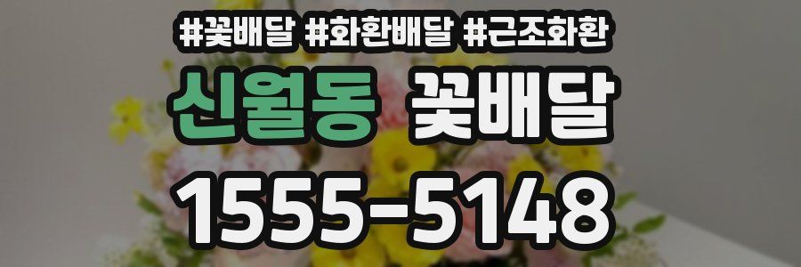 신월동 꽃배달